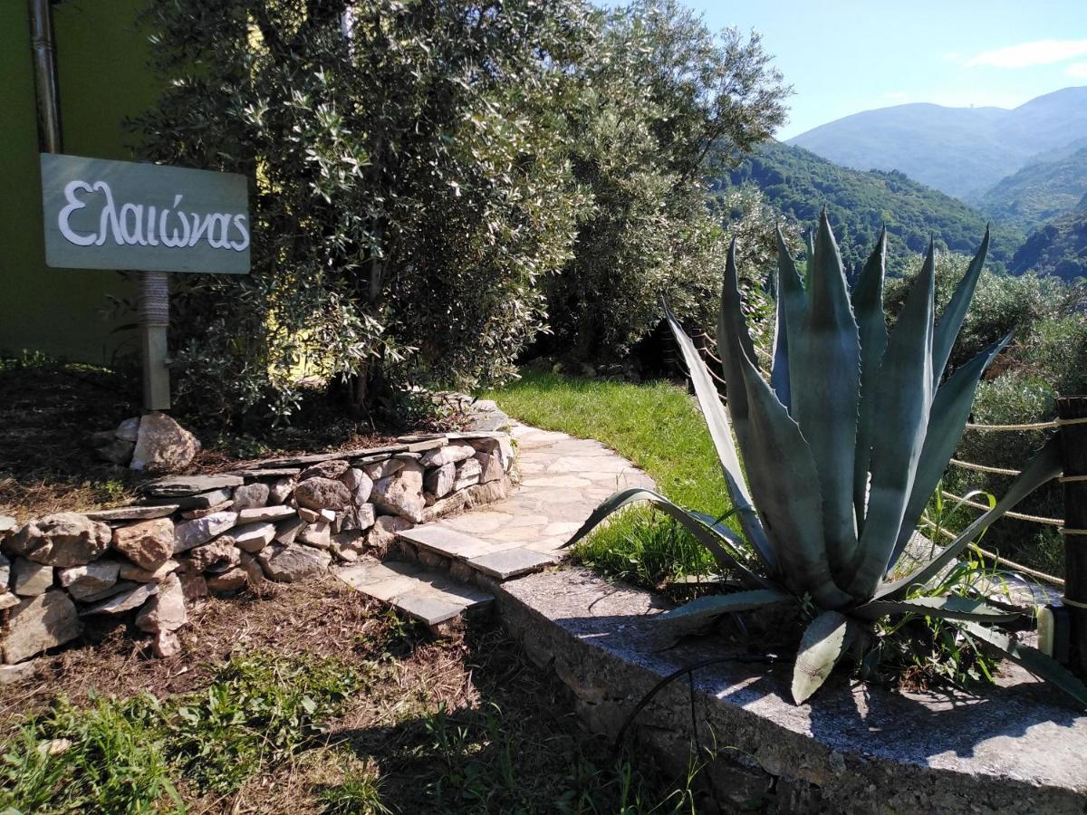 Ελαιώνας - Solar Energy House Villa Horeftó Kültér fotó